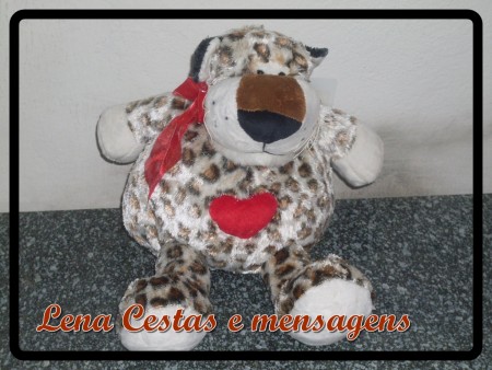 URSO ONCINHA