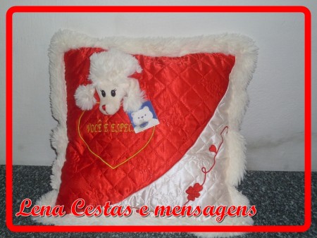 Almofada carinhoso!